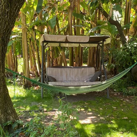 B&B Corte Meraviglia - Relais 루카